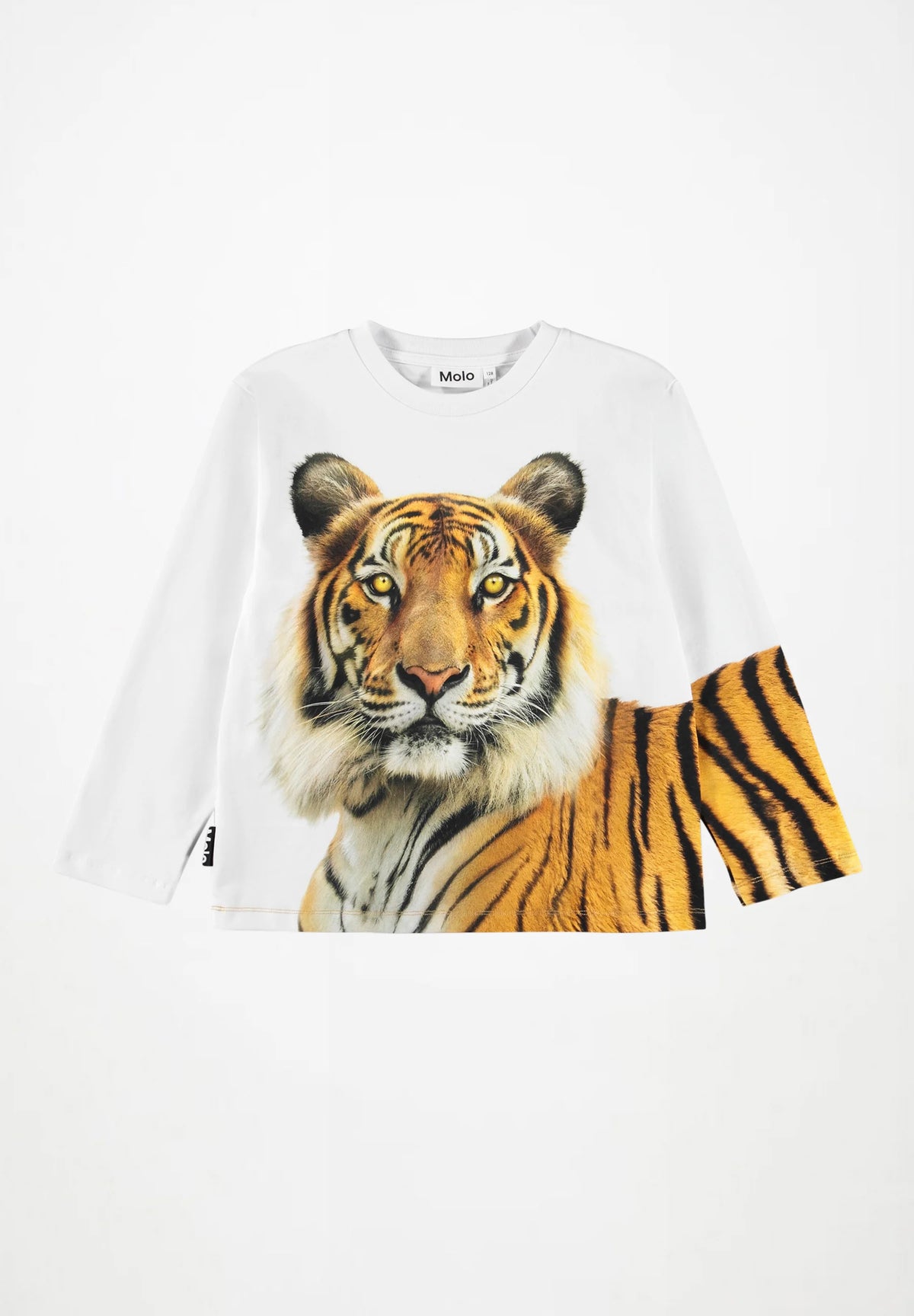 MOLO SWEATERS  Rollo Tiger Portrait