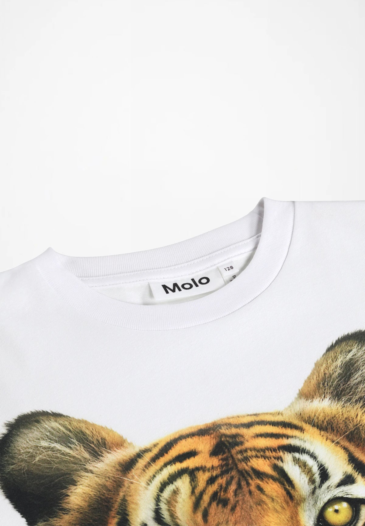 MOLO SWEATERS  Rollo Tiger Portrait
